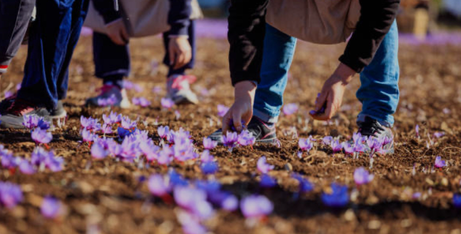 Crafting Captivating Headlines: Your awesome post title goes here